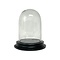 Glass dome* - 16 cm x 11 cm
