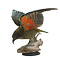 Mounted flying Kea