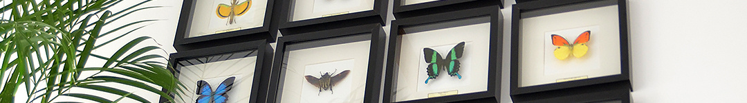 Invitation MAISON & OBJET January 2025