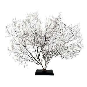 Sea fan on wooden base (B)