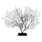 Sea fan on wooden base (B)