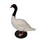 Mounted black-necked swan