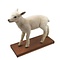 Mounted lamb (E)