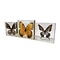 Set of 3 butterflies in resin