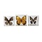 Set of 3 butterflies in resin