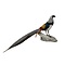 Mounted lady amherst's pheasant