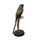 Opgezette Blue bonnetparkiet