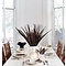 Reeves's pheasant feathers 75 - 90 cm