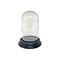 Glass dome - 12 cm x 7 cm