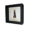 Vleermuis (Goud) in exclusieve lijst 16x16 cm
