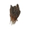 Peacock wing feather 25 cm per 10 pieces