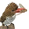 Opgezette zebra-ijsvogel (vrouw)