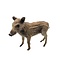 Mounted wild boar piglet (A)