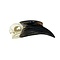 Schädel Schwarzhelm-Hornvogel
