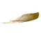 Crown crane feather  (per 50) 25 cm