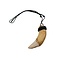 Camel tooth necklace