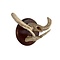 Trophy jaws tusks Warthog (B)