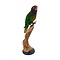 Mounted Yellow-streaked lory