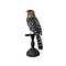 Flammenkopf-Bartvogel