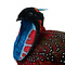 Präparierte Tragopan