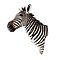 Zebra trophäe