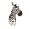 Zebra trophäe