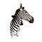 Zebra trophäe