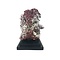 Organ pipe coral
