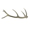 Deer antler rod (B)