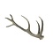 Deer antler rod (B)