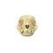 Kitten Cat Skull