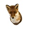 Mounted fox closed mouth (trophy)