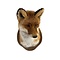 Mounted fox closed mouth (trophy)