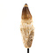 Mosasaurus tooth xl on pedestal