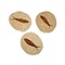 Fossile Fische