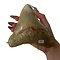 Large Megalodon tooth (B)