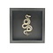 Slangen Skelet gekruld in Elegante Lijst (25 x 25 cm)