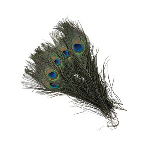 Pauwenveren ogen (20 stuks) ± 25-30 cm