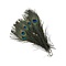 Pauwenveren ogen (20 stuks) ± 25-30 cm