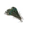 Pauwenveren ogen (20 stuks) ± 25-30 cm