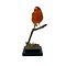 Mounted orange canary (dark)