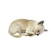 Ausgestopfter Hund - Chihuahua