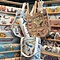 Totebag - Insecten