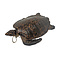 Antique mounted Hawksbill turtle