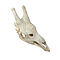 Giraffe Skull