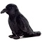Plush Crow