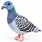 Plush Pigeon