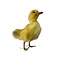 Mounted yellow duckling without pedestal