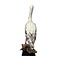 Mounted great white pelican