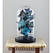 Morpho deidamia